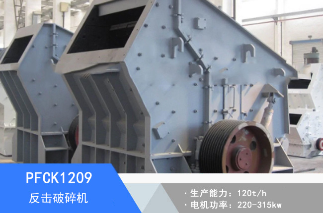 PFCK1209���淴������C