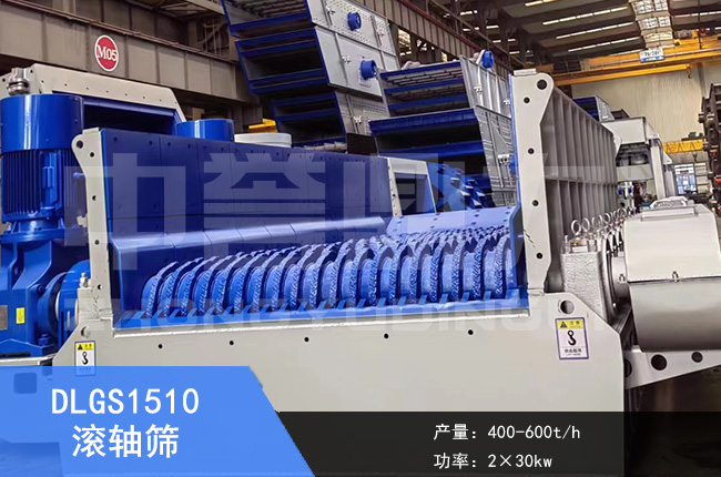 DLGS1510�L�S�Y