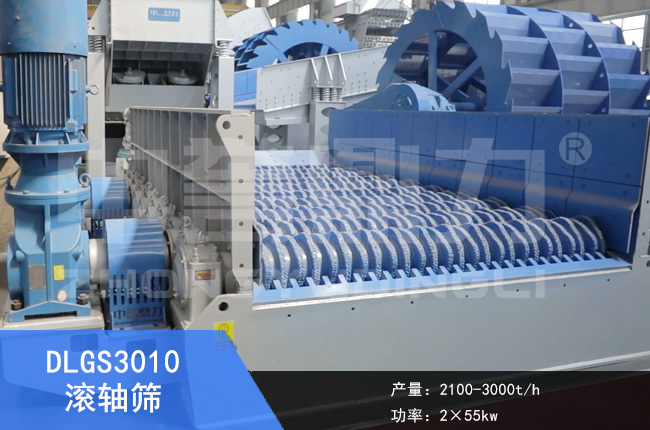 DLGS3010�L�S�Y