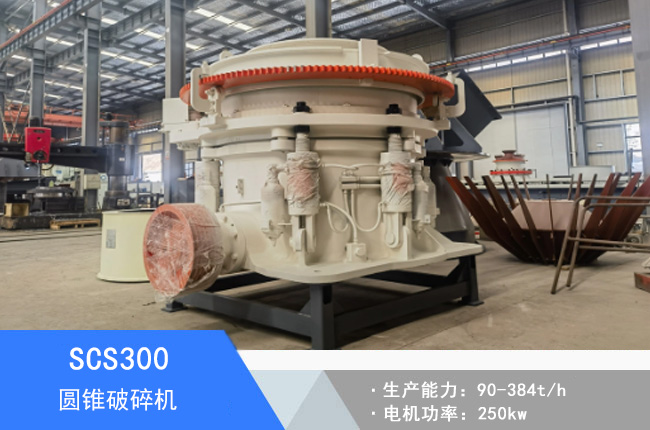 SCS300�A�F����C